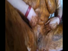 Scat whore got her body covered in shit
